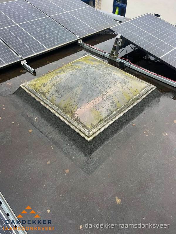 Vervuilde lichtkoepel op plat dak met zonnepanelen in Raamsdonksveer Vervuilde lichtkoepel op plat dak met zonnepanelen in Raamsdonksveer